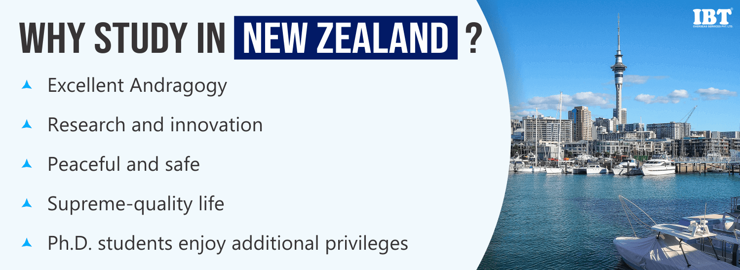 Why Newzealand?