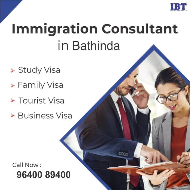 Immigration Consultants