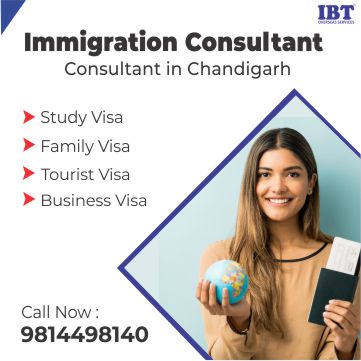 Immigration Consultants